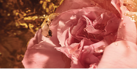 ПРОДУКТ НА ВСЕ ВРЕМЕНА