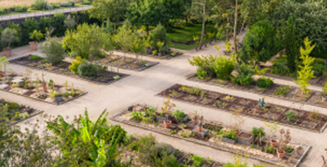 СОЗДАНИЕ БОТАНИЧЕСКОГОСАДА В ЛЯ ГАСИЙИ