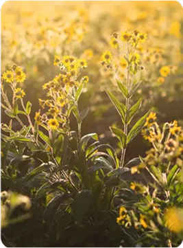 Наша история