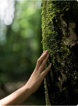 Наши обязательства