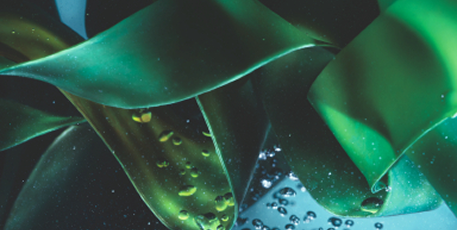 ПРОЩАЙТЕ,ПЛАСТИКОВЫЕ ПАКЕТЫ