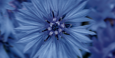 1-Я ФРАНЦУЗСКАЯ МАРКА,ПОЛУЧИВШАЯ СЕРТИФИКАТ UEBT