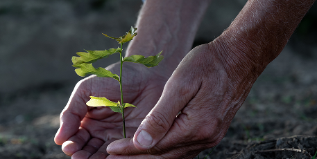 НА ПУТИК СТАТУСУ B CORP