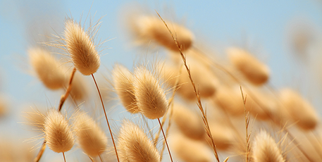 БОЛЬШЕ ПРИРОДЫ И МЕНЬШЕ ПЛАСТИКА