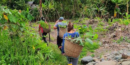 СОЗДАНИЕ ФОНДА ИВ РОШЕ