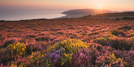 1-Я МЕЖДУНАРОДНАЯ ГРУППА,СТАВШАЯ КОМПАНИЕЙ С МИССИЕЙ
