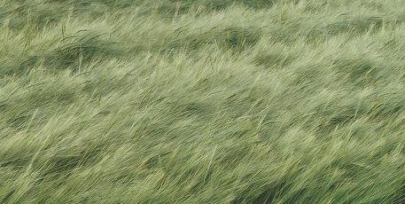 ФЛАКОНЫ ИЗ ПЛАСТИКА, 100% ПЕРЕРАБОТАННОГО И ПОДЛЕЖАЩЕГОВТОРИЧНОЙ ПЕРЕРАБОТКЕ*