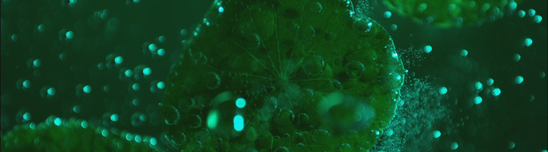 Загрузить видео: 