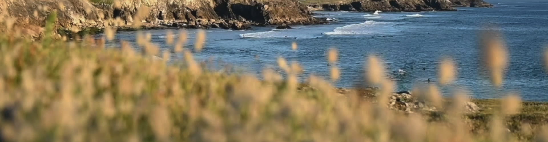 Загрузить видео: 