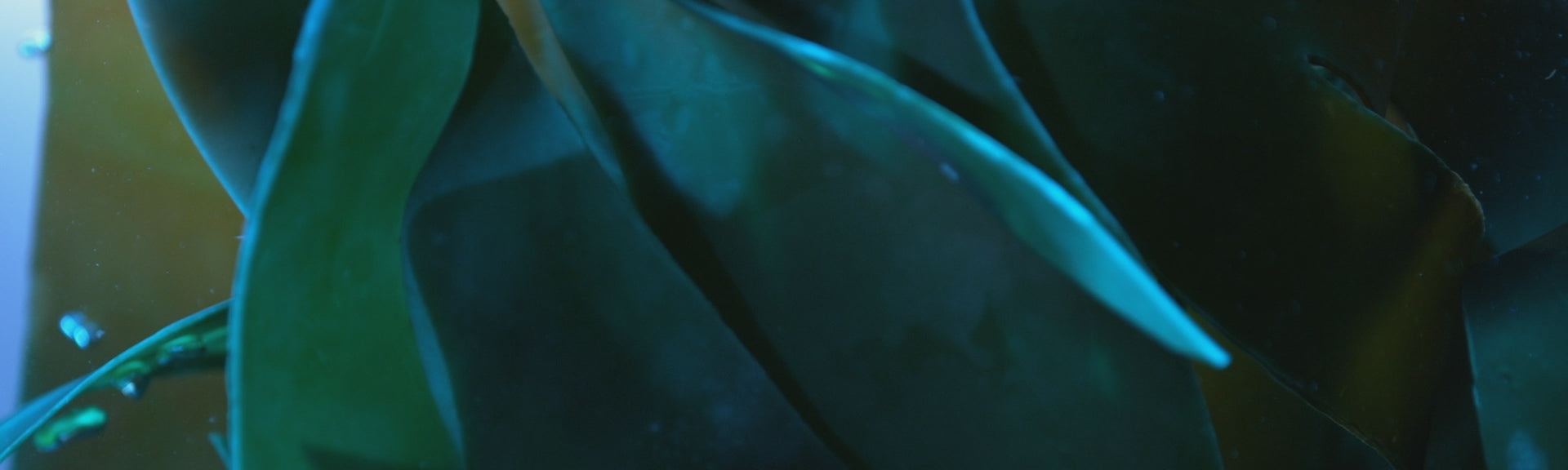 Загрузить видео: 