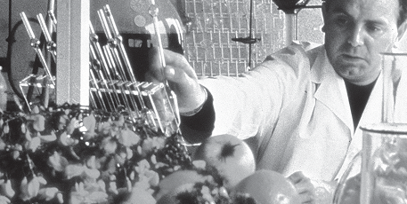 РОЖДЕНИЕ ЧЕЛОВЕКА,ВЛЮБЛЕННОГО В ПРИРОДУ