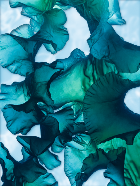 Гель для Ванны и Душа «Морские Водоросли & Морской Фенхель», 400мл