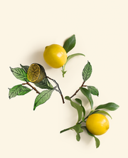 Парфюмерная Вода Ondes Positives, 50 мл