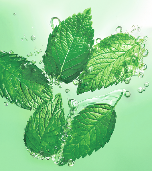 Гель-Гоммаж для Умывания Против Черных Точек 3 в 1 с Перечной Мятой БИО